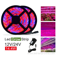 14.4w/meter SMD5050 LED Grow Strip